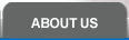 About Button